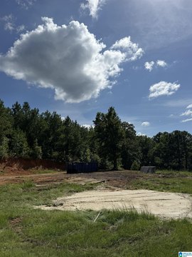 LAND - JEMISON, AL