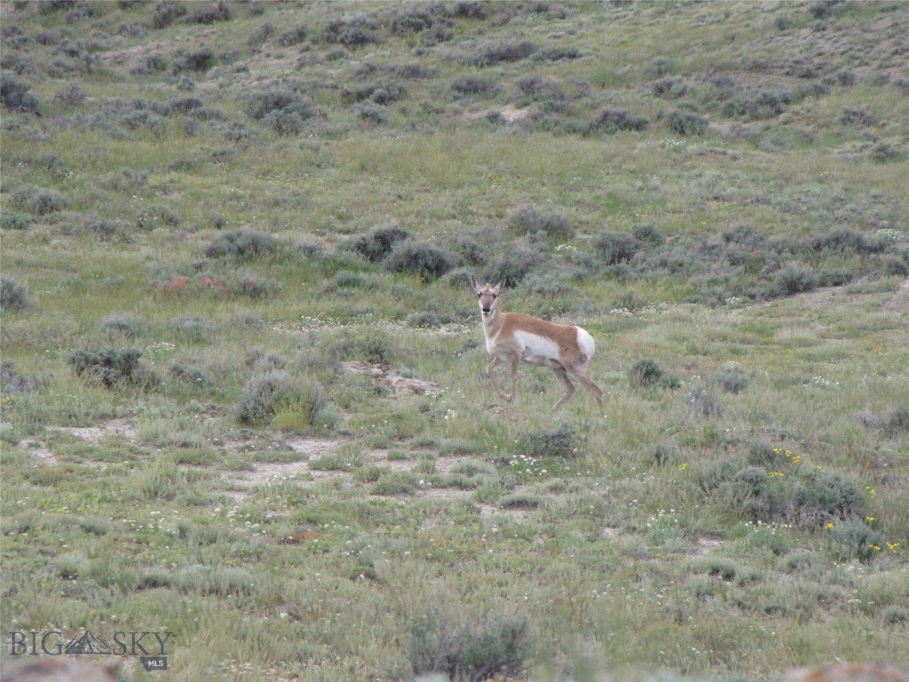 Picture 20