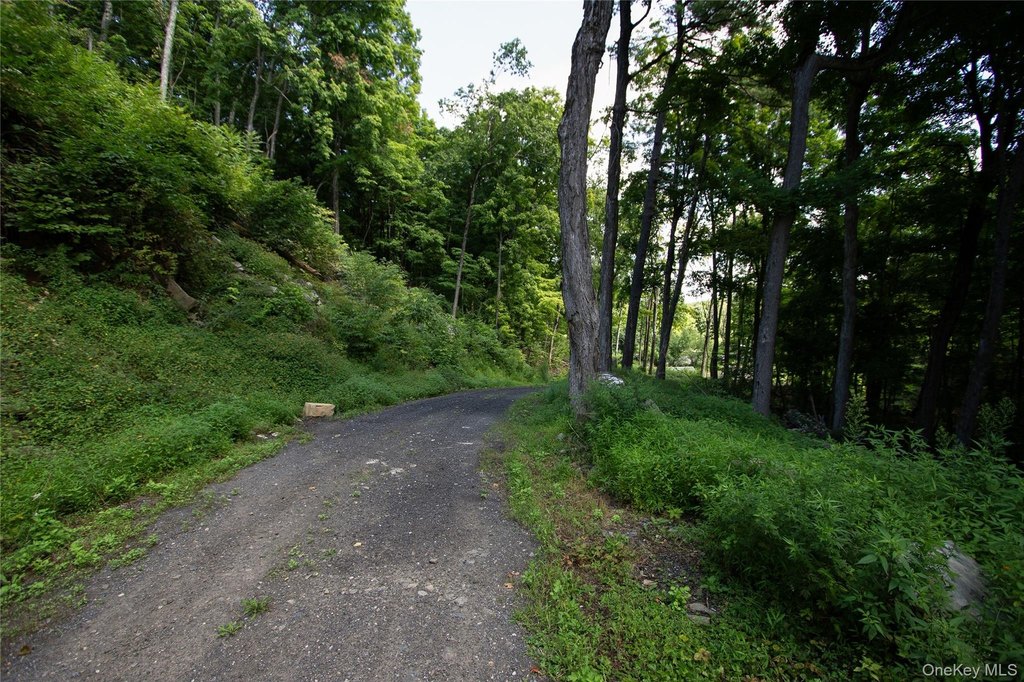 Picture 7