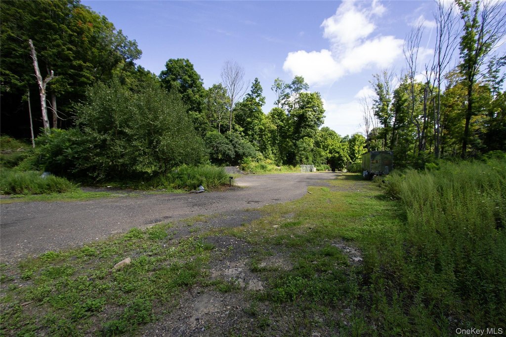 Picture 6