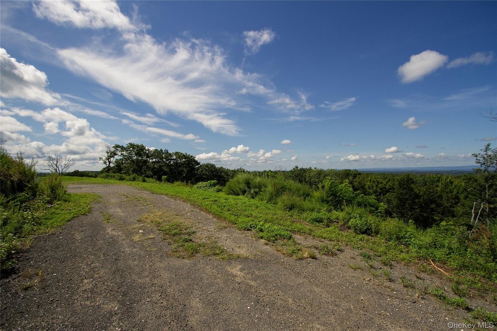 Picture 14