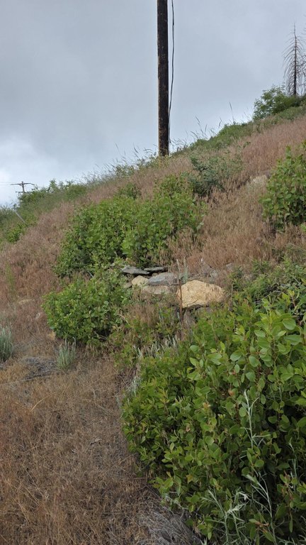 Picture 19
