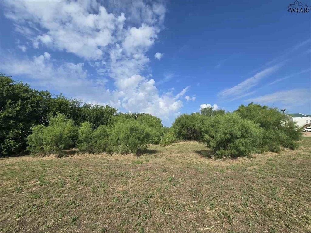 Picture 20