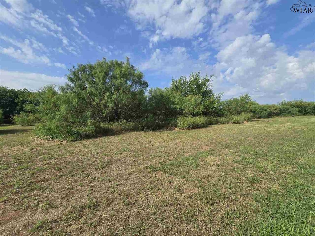 Picture 23
