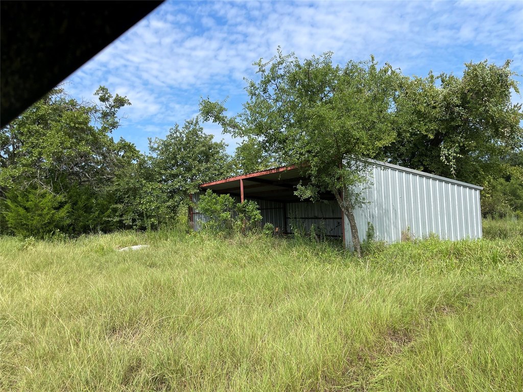 Picture 4