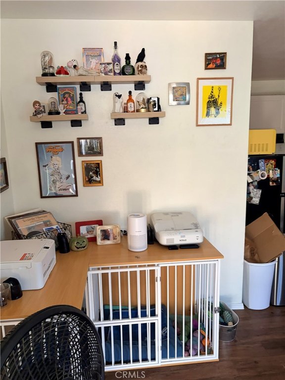 Picture 17