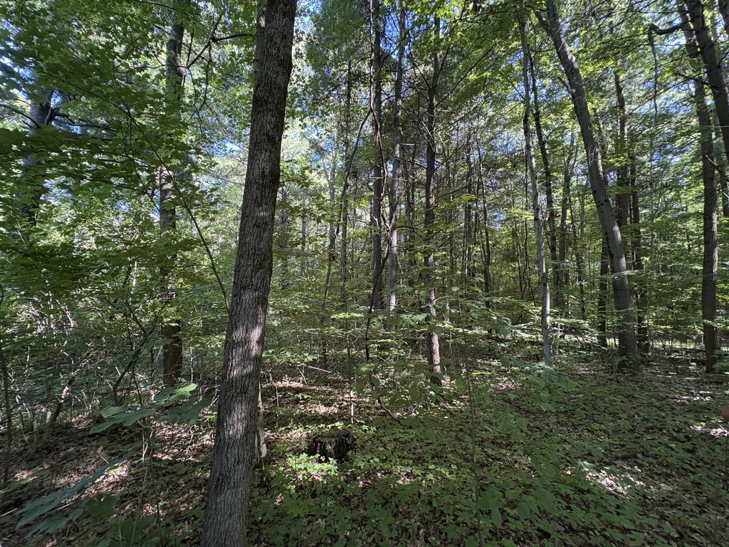 Picture 3