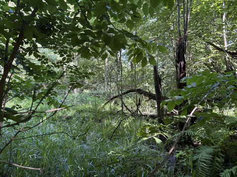 LAND - Allegan, MI