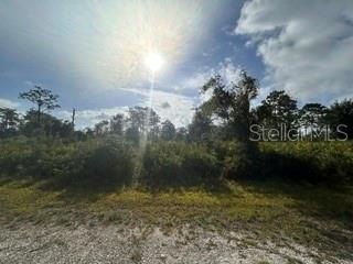 Acre Land Parcel in Polk