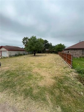 LAND - Donna, TX