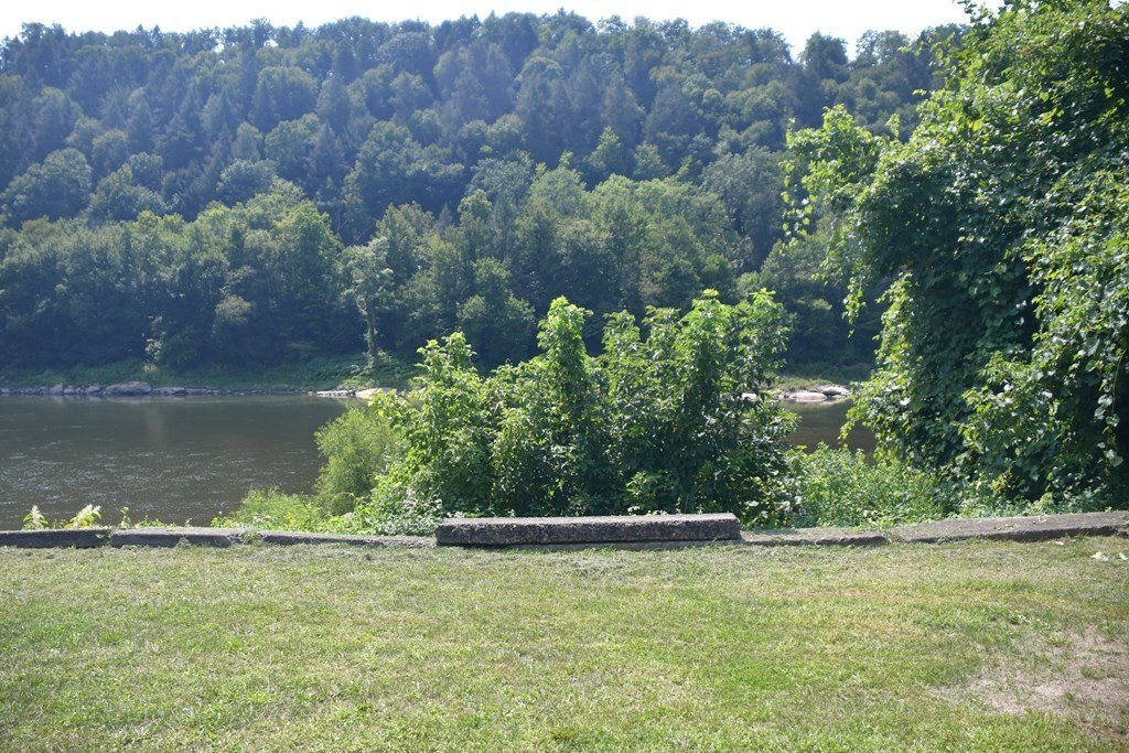 Picture 9
