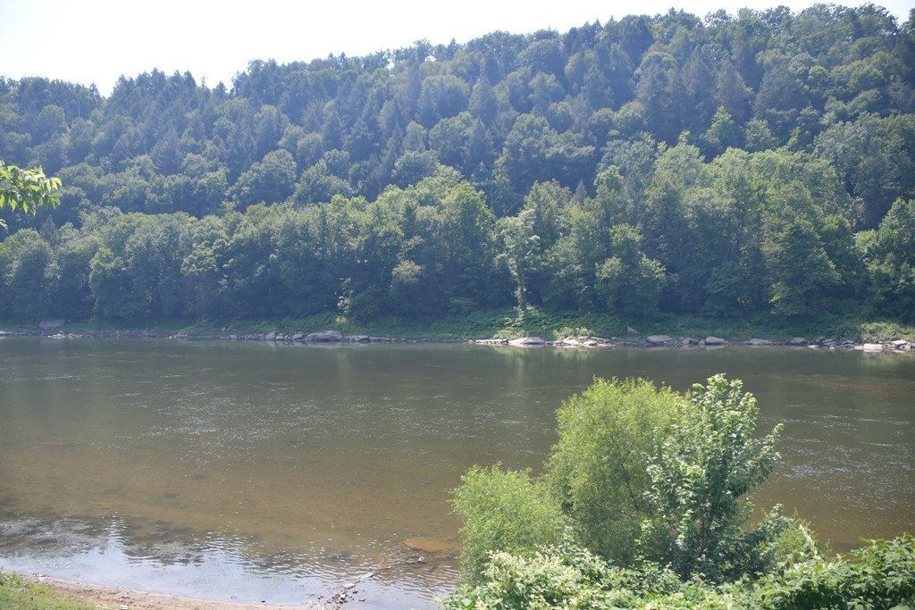 Picture 7