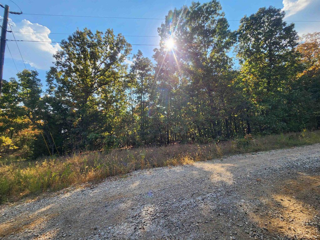 Picture 19