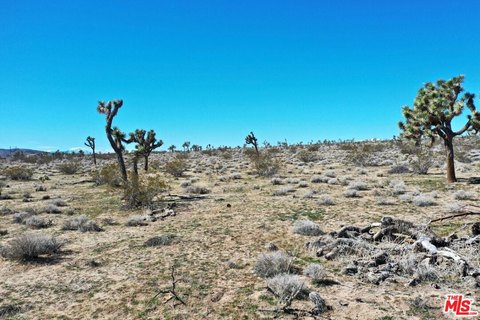 20 Acres in Joshua Tree