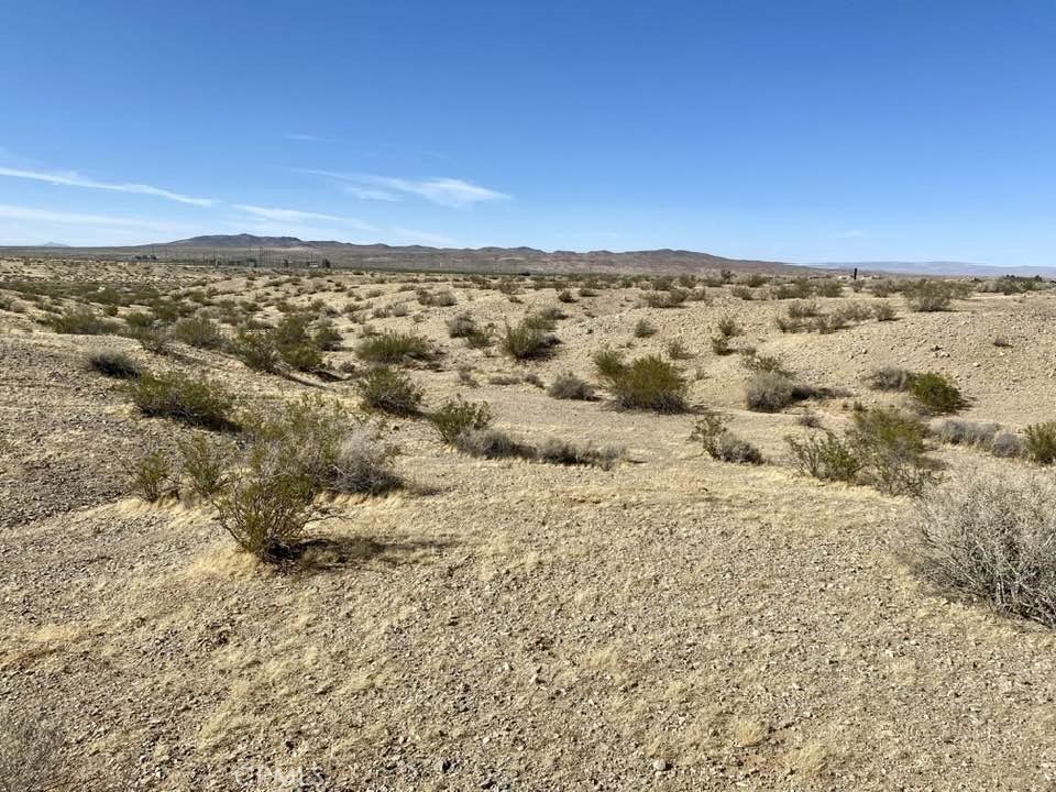 Picture 5
