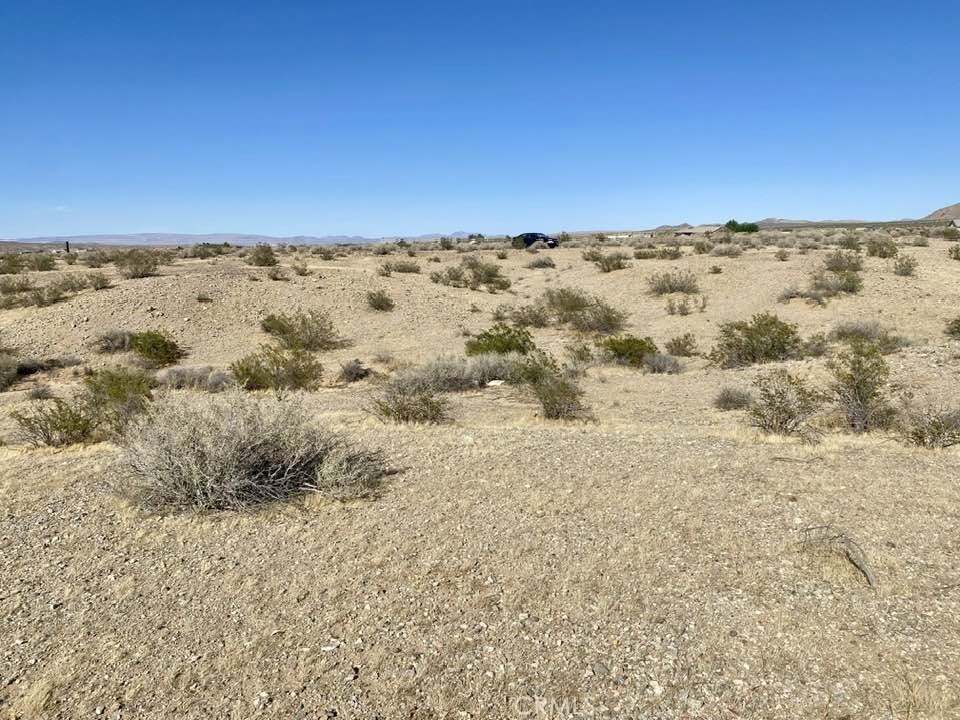 Picture 4