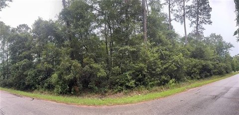 LAND - Lacombe, LA