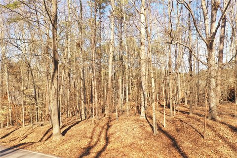Homesite in Chickasaw Point