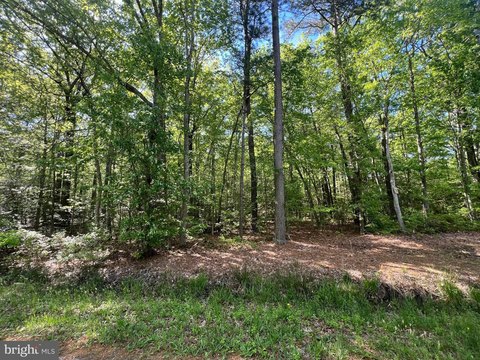 Wooded Lot in Gloucester, VA