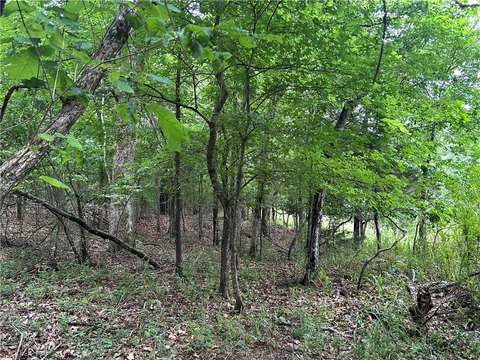 Lowell Wooded Lot For Sale