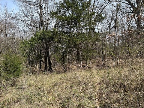 Lowell, AR Wooded Lot