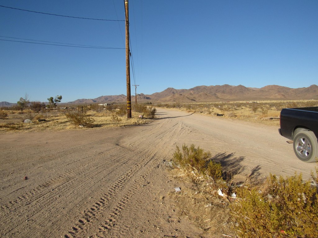 Picture 5
