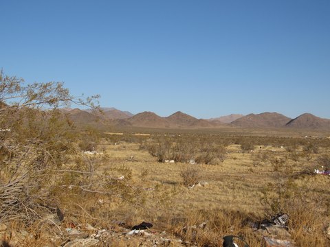 Lucerne Valley Land Parcel