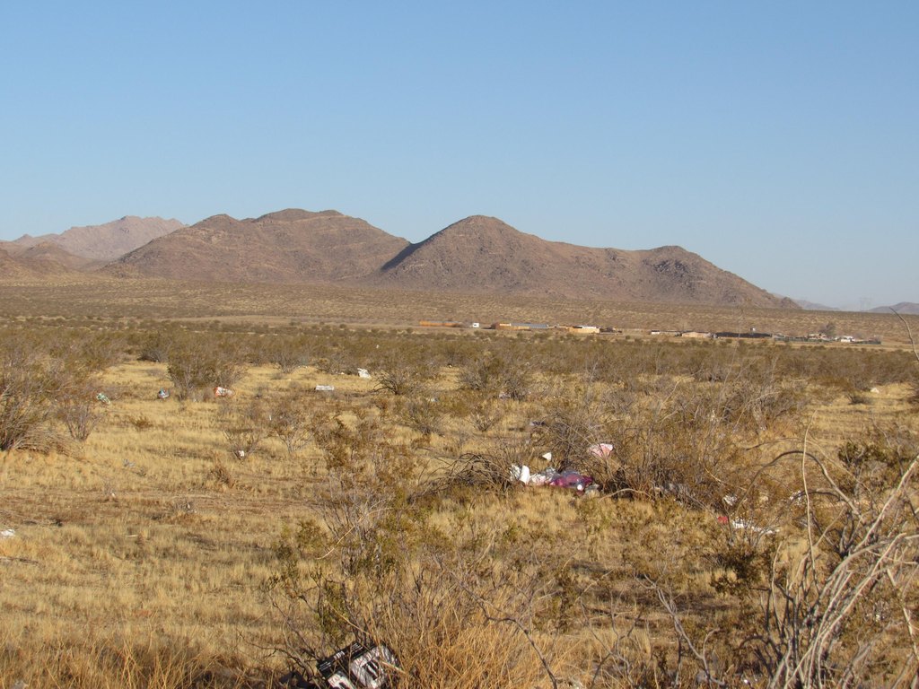 Picture 8