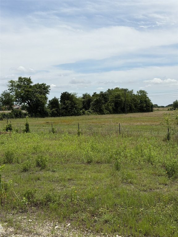 Picture 18