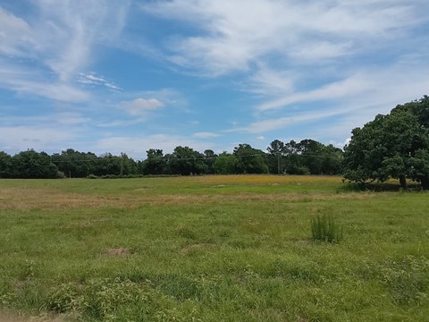 Ranch Land with Ponds and Fencing