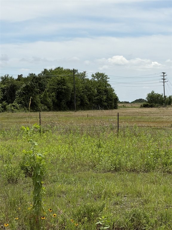 Picture 19