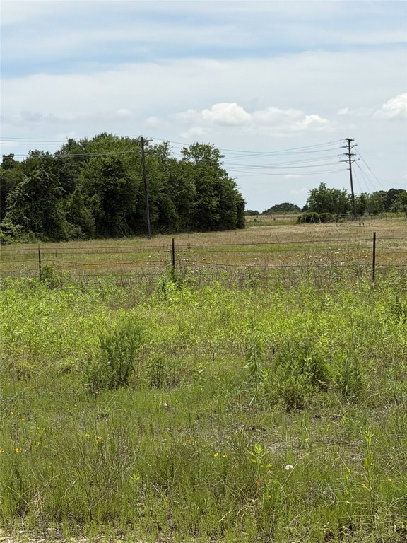 Picture 20