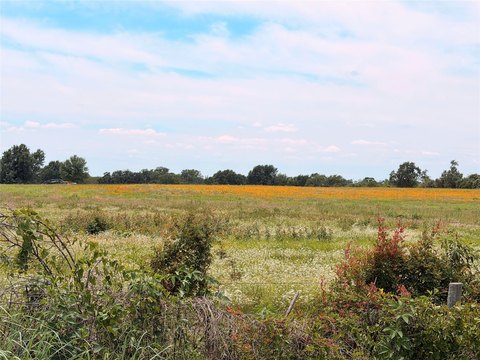 Ranch Land with Ponds and Fencing