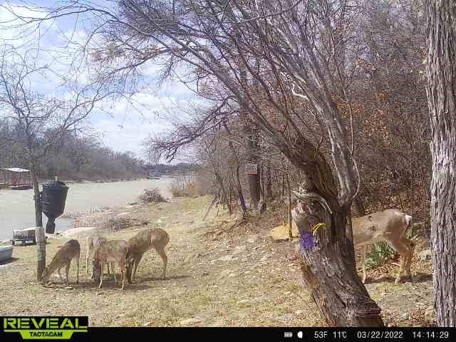 Picture 20