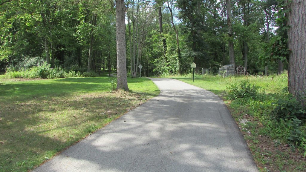 Picture 10
