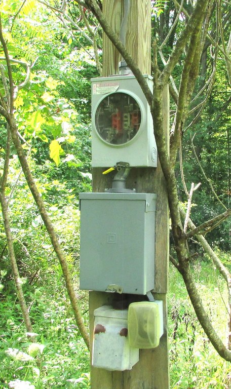 Picture 8