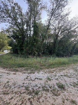 Land, Couch, MO