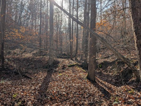25 Acres Near Red River Gorge