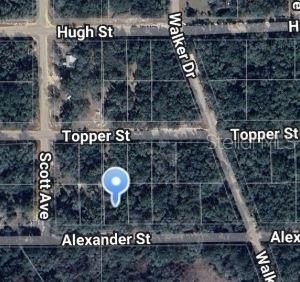 Residential Land Near Lake Grandin
