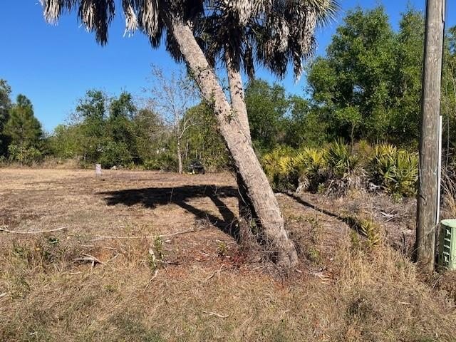 Picture 10