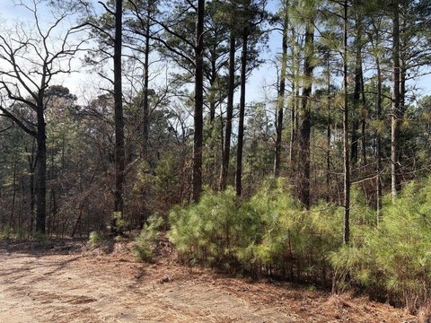 Residential Land Near Lake Palestine