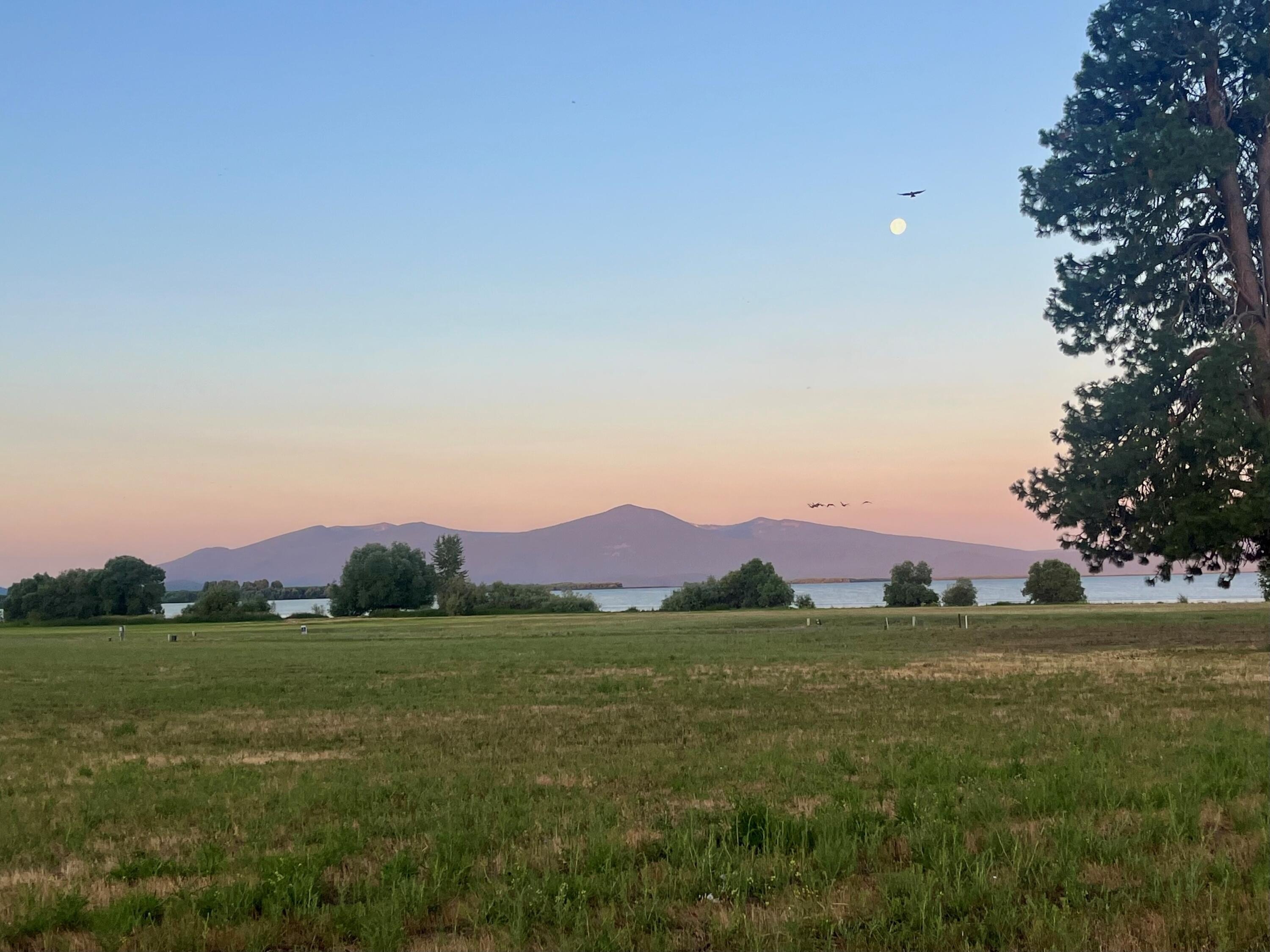 Level Acre Near Agency Lakeshores