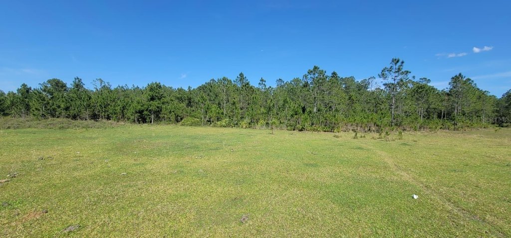 Picture 3