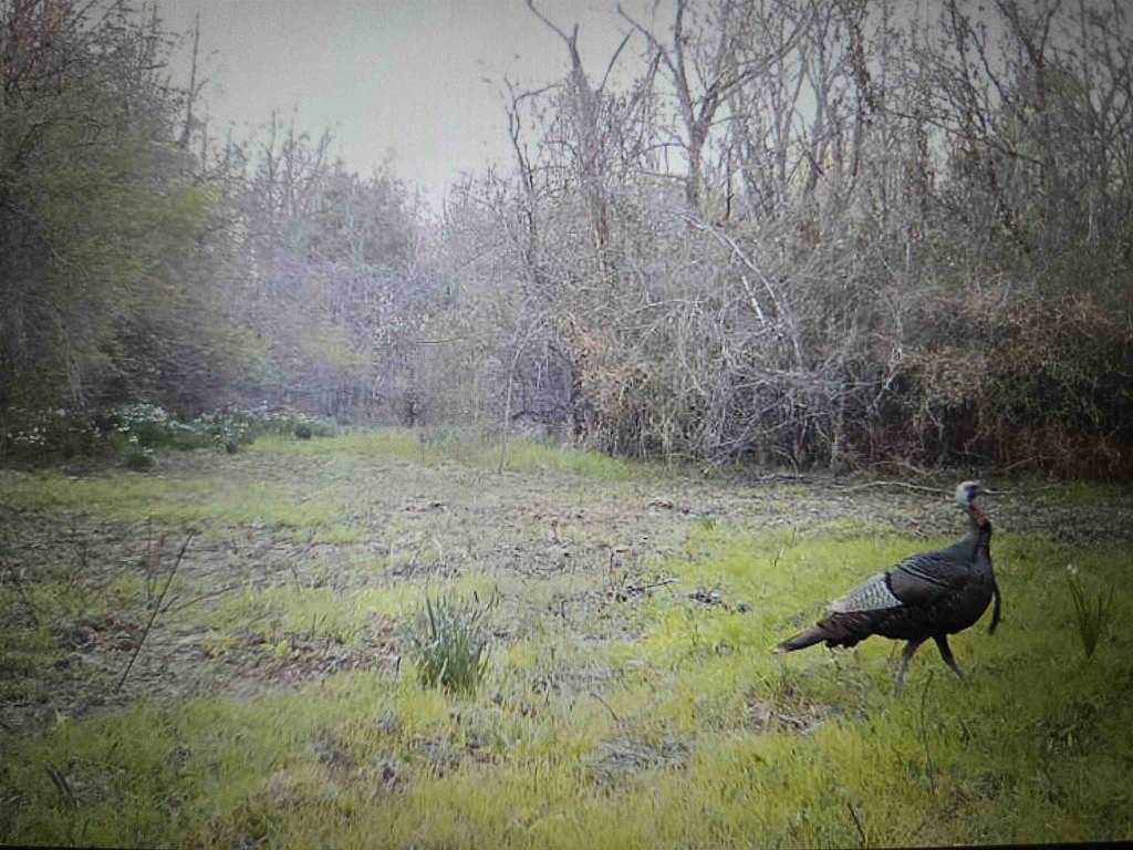 Picture 27