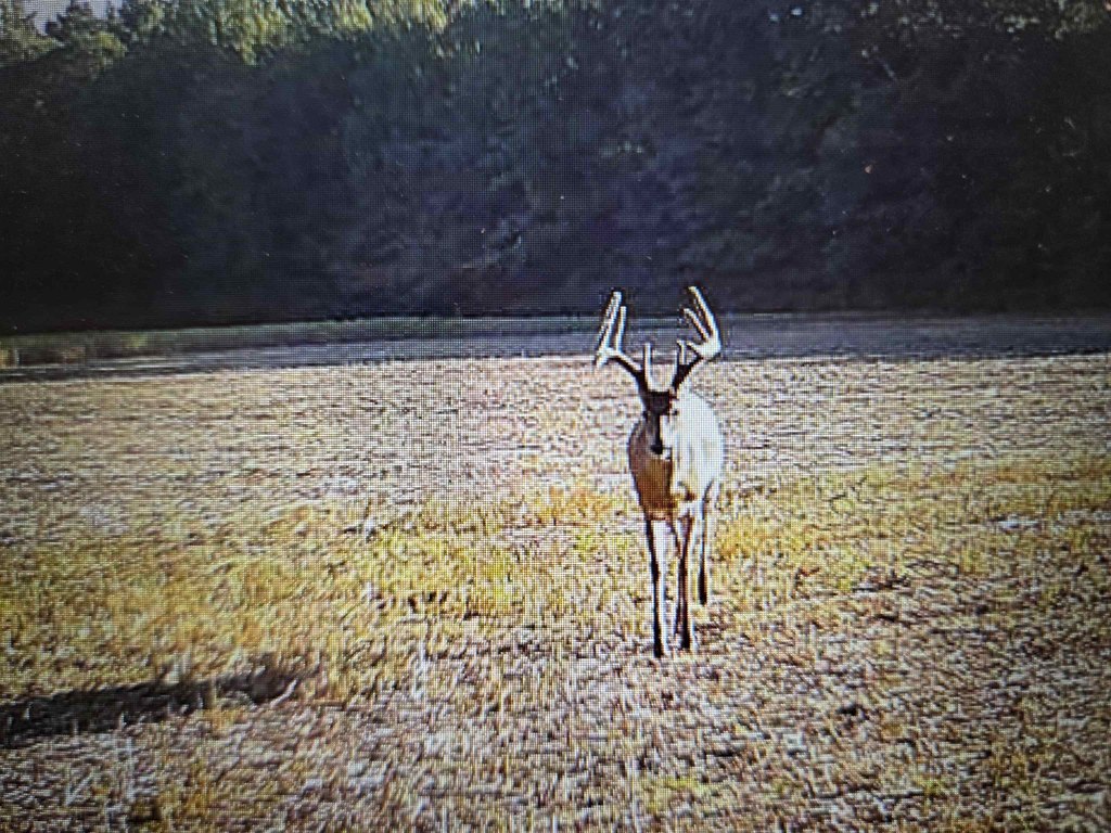 Picture 10