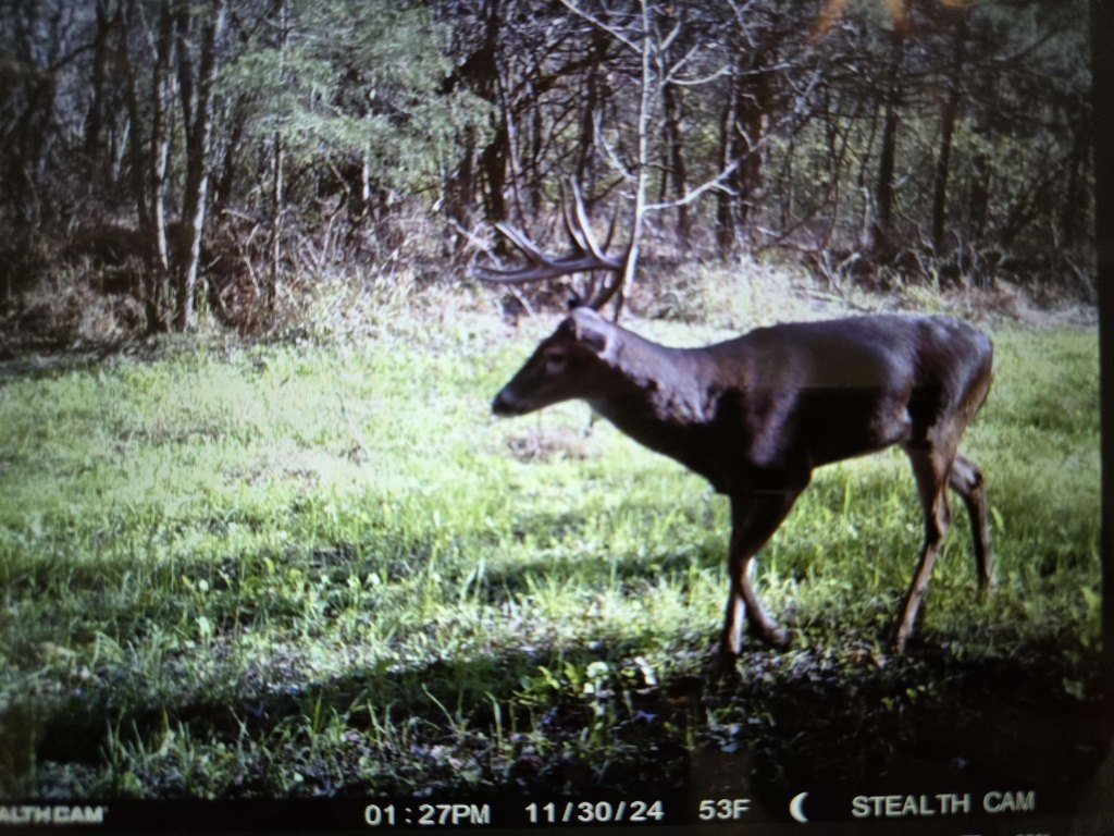 Picture 36