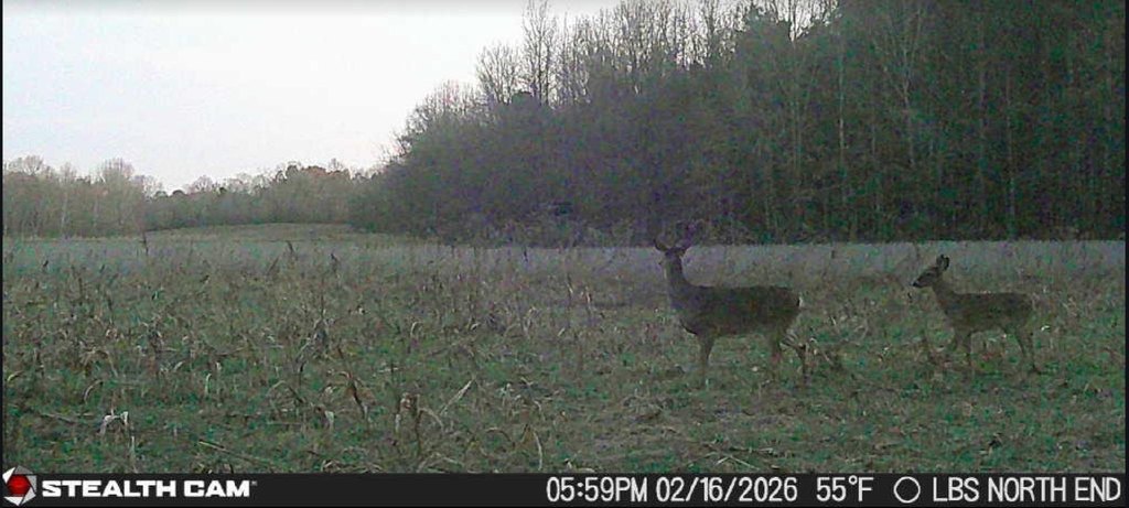 Picture 7