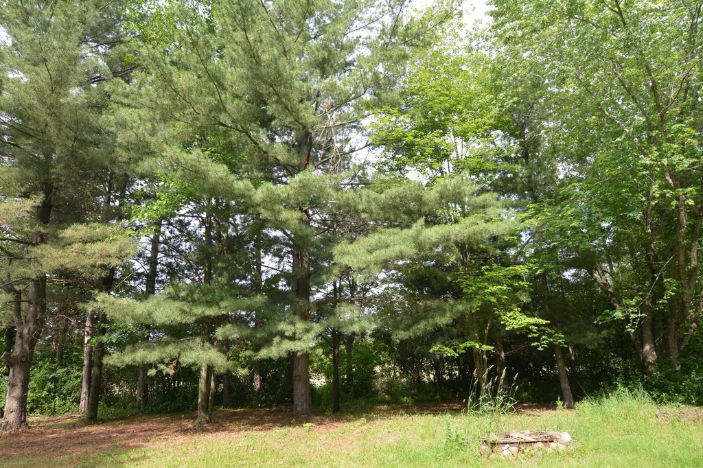 Picture 25