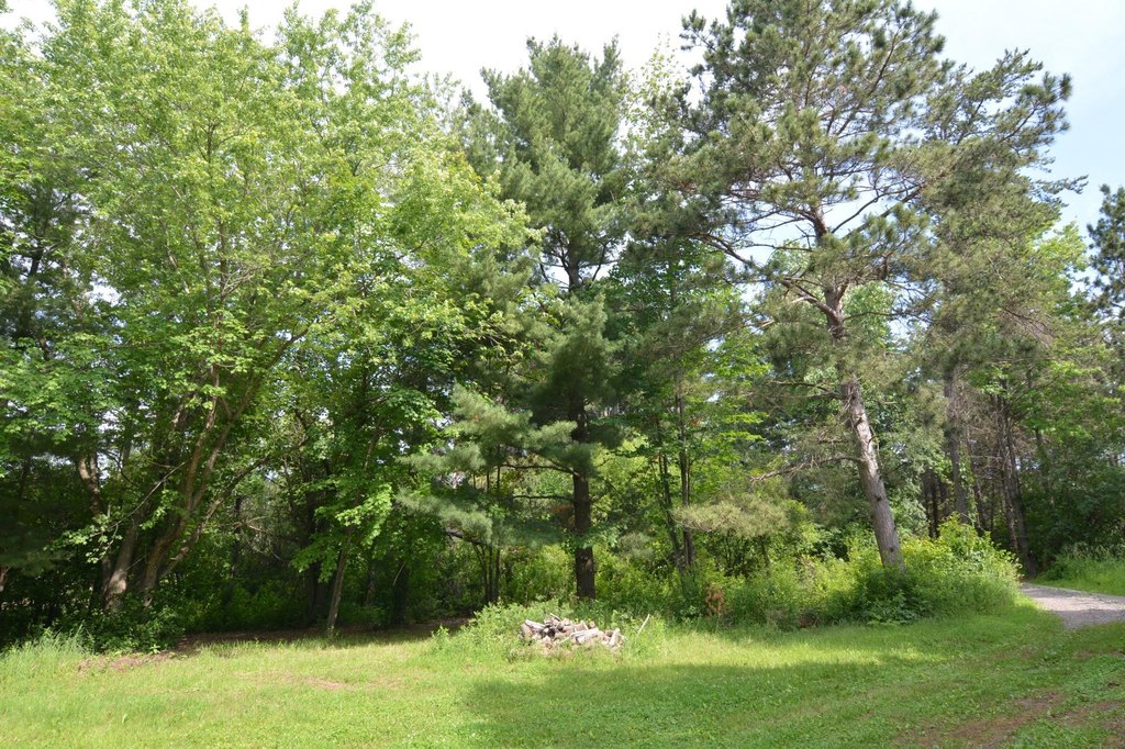 Picture 24