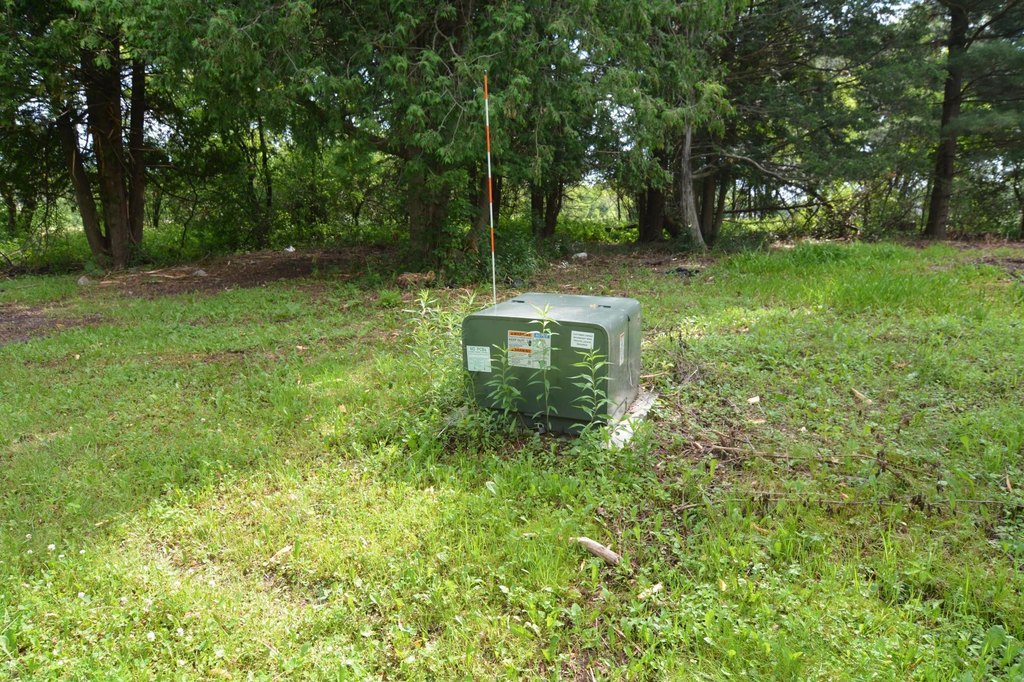 Picture 23